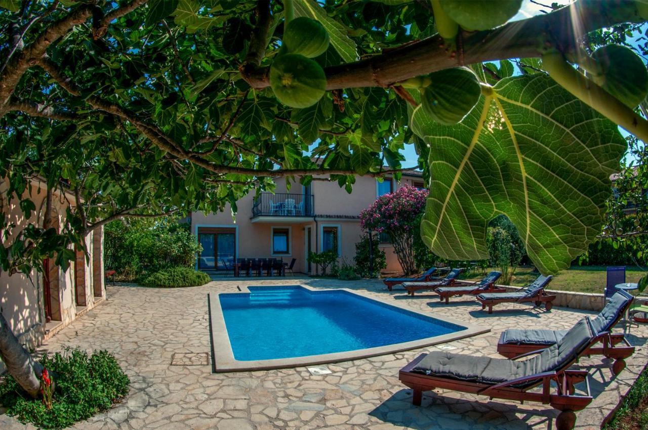 House /Villa Maja Ližnjan Εξωτερικό φωτογραφία