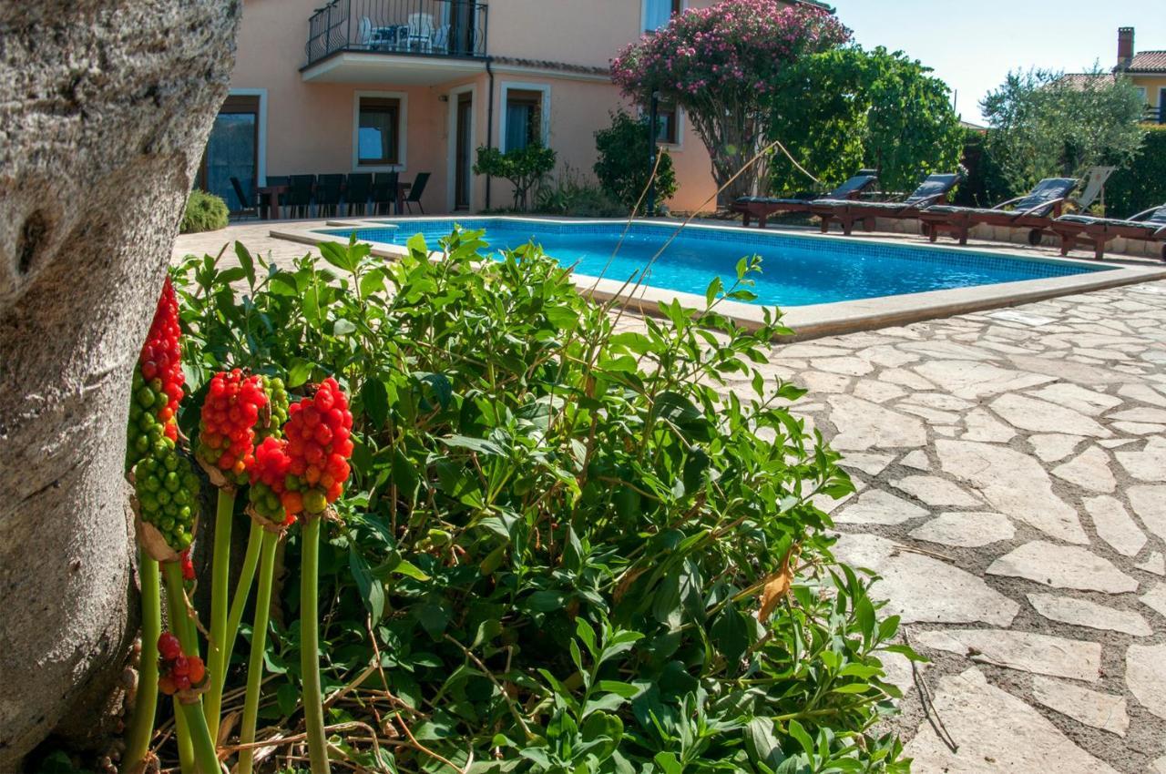 House /Villa Maja Ližnjan Εξωτερικό φωτογραφία